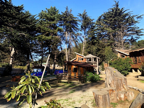 Imagen 7 de 22 de Cabañas Arbulu Isla Negra