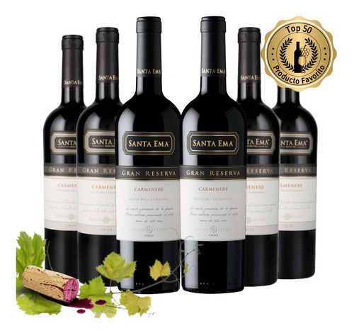 6 Vinos Santa Ema Gran Reserva Carmenere