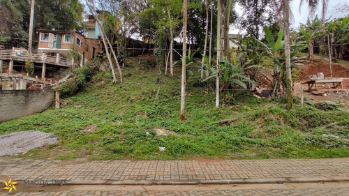 Imagem 13 de 18 de Terreno - Pq0119 - 70075542