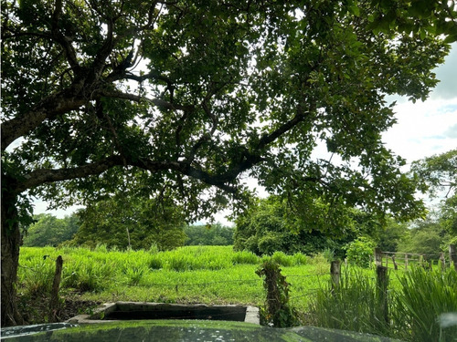 Impresionante Rancho En Manuel Avila Camacho - Tonalá
