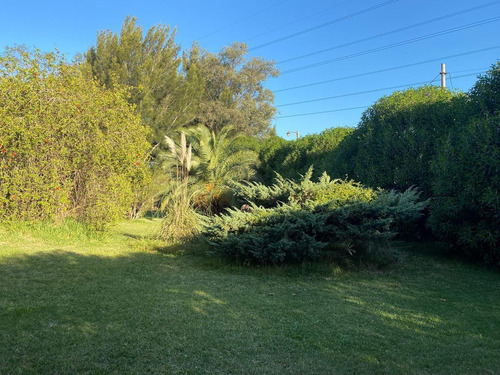 Imagen 5 de 6 de Terreno En Venta En La Zona De La Pista