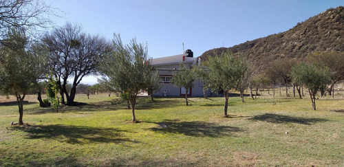 Campo Con 3 Viviendas Mas Pileta