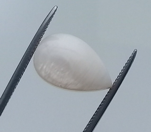 Madre Perola 2.680 Cts Gota Nat 12x7 Branco Cabochão