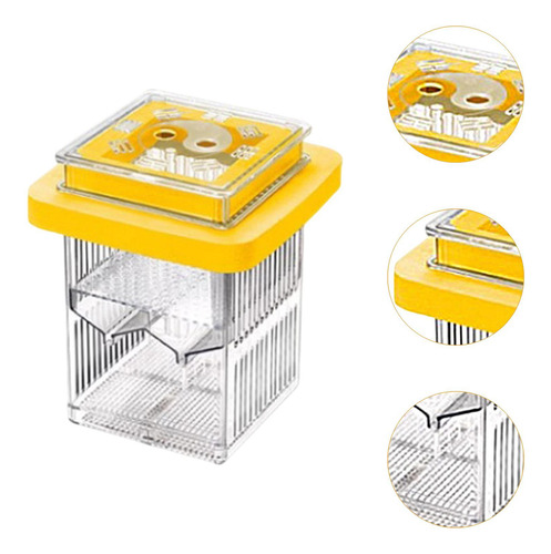 Caja De Aclimatación De La Caja Del De Guppy Caja Amarillo