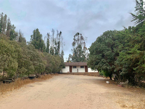 Parcela En Venta En Lomas De Mantagua/quintero