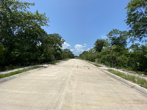 Imagen 12 de 14 de Venta Terrenos En Exclusivo Desarrollo Playa Del Carmen