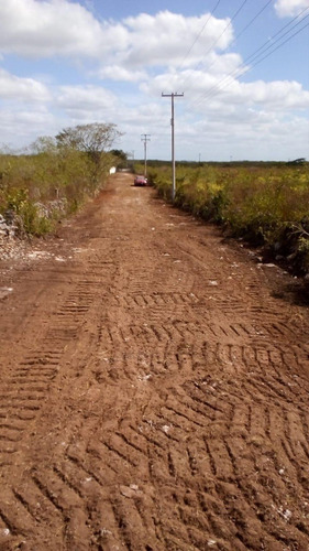 Imagen 6 de 13 de Xamantu Telchac Lotes Campestres Dic 2021
