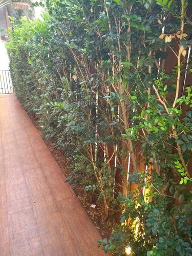 Imagem 25 de 30 de Casa Residencial À Venda, Condomínio Casas De Gaia, Campinas. - Ca3870