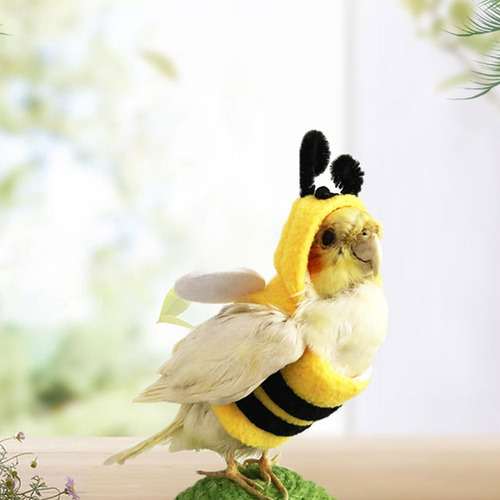 Ropa De Pájaros Disfraz De Loro Y Abeja Para Mascotas Ropa D