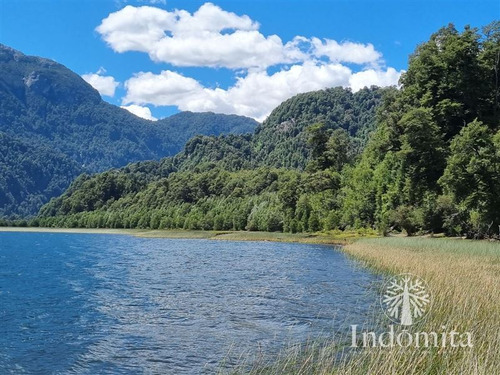 Fundo Con Orilla De Lago Cayetué En Ralun