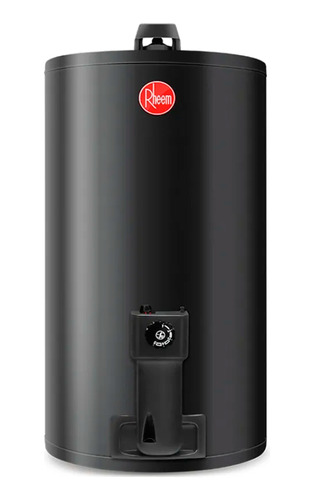 Termotanque Rheem Gas Natural 80litros Tgnc080rh Colgar