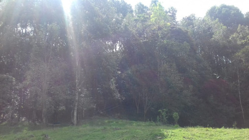 Se Vende Finca Salento Quindio Bosque Nativo Reserva Hidrica