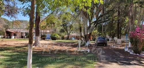 Imagem 11 de 12 de Chácara Para Aluguel Em Chácara Santa Margarida - Ch036499