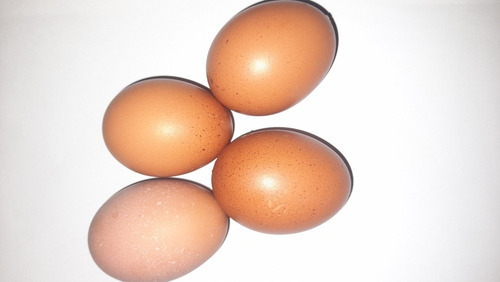 Huevos De Gallinas 100% Al Aire Libre,30 Piezas