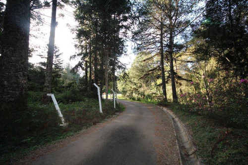 Imagem 6 de 12 de Chácara À Venda, 3300 M² Por R$ 750.000 - Campininha - Quatro Barras/pr - Ch0019