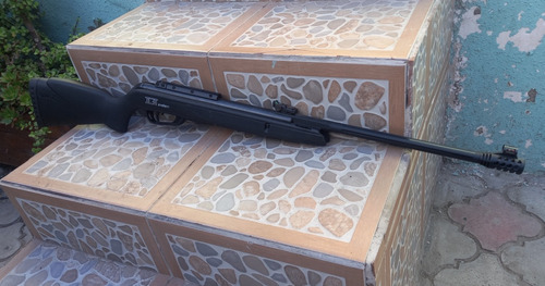 Rifle Gamo Resina Black Bear Igt 5,5 Mm + Funda Acolchada.