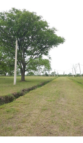 Imagen 14 de 16 de Terrenos Con Acceso Sobre Autovía, Puerto Tirol