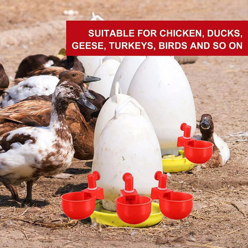 10 Unidades De Copo De Rega De Frango, Bebedouro Automático