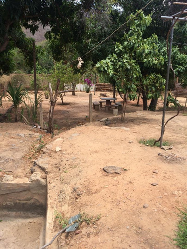 Imagen 6 de 14 de Casa En Venta Con Amplio Terreno 2000m2 Zona Tacal Cumana