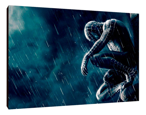 Cuadros Poster Superheroes Spider Man S 15x20 (dmn (4))