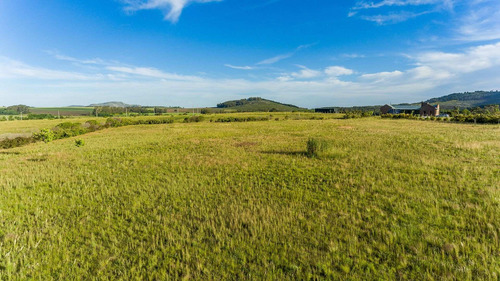 Imagen 14 de 14 de Venta De Amplio Lote En El Paraíso