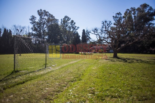 Imagen 18 de 25 de Cañuelas-casa Quinta En Venta