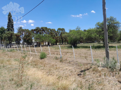 Terreno Rural En Alquiler