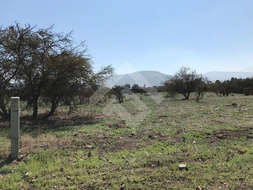 Imagen 3 de 6 de Sitio En Venta En Colina