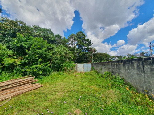 Imagem 19 de 19 de Área À Venda, 5053 M² Por R$ 1.350.000,00 - Tingui - Curitiba/pr - Ar0001