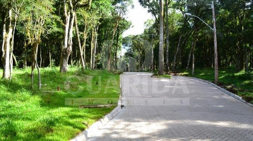 Imagem 5 de 10 de Terreno - Caracol - Ref: 132886 - V-132886