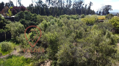 Terreno En Los Pinos Excelente Conectividad