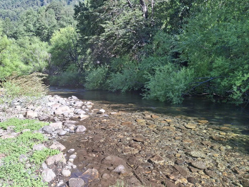Inversión En Curarrehue 9 Ha Con 330 Mt Orilla De Río