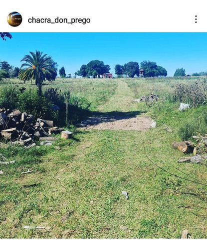 Imagen 3 de 14 de Chacra En Venta Canelon Chico Ruta 67y66 5 Hectáreas