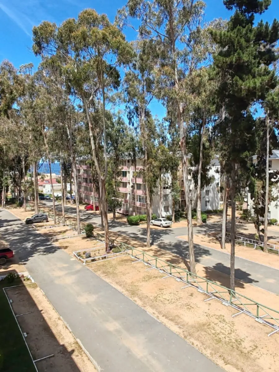 Imagen 3 de 25 de Depto 3d. Vista Parcial Al Mar, Estacionamiento En El Tabo