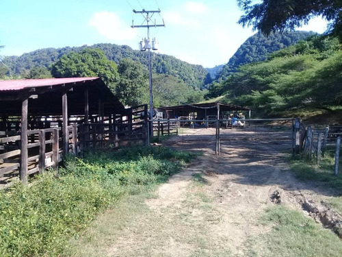 Imagen 15 de 16 de Finca En Falcon En Venta.lf