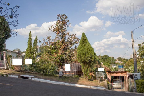 Imagem 2 de 5 de Terreno Para Venda Em Novo Hamburgo, Vila Nova - Ivt019_2-1026781