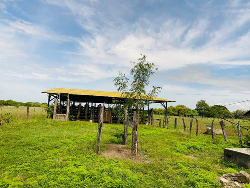 Imagen 10 de 15 de Property For Sale!!! 20 Hectareas