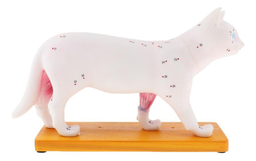 1: 1 Modelo De Acupuntura De Gato Herramienta De Enseñanza