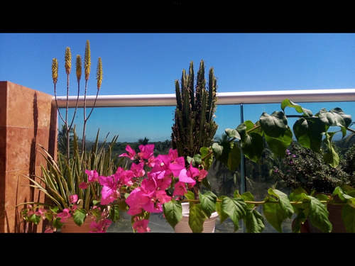 Paseo De Los Cocoteros, Nuevo Vallarta, Condo Remodelado De Tres Recamaras, Con Gran Terraza A Pasos De La Playa