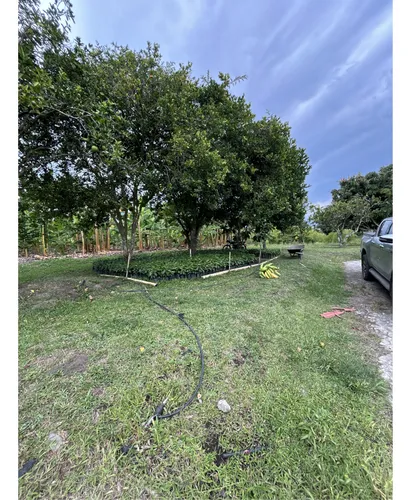 Se Vende Lote En Montenegro - Quindio