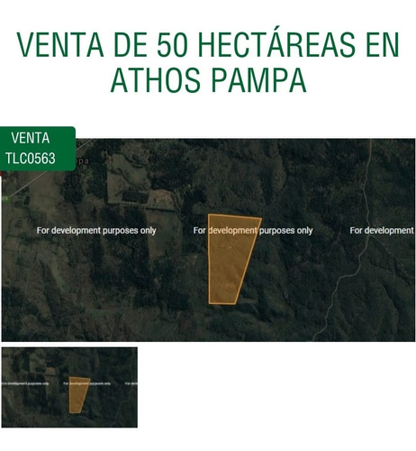 Venta De 50 Hectáreas En Athos Pampa -tlc0563