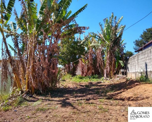 Imagem 1 de 3 de Terreno Para A Venda No Bairro Palmeiras - Te00052 - 69310151