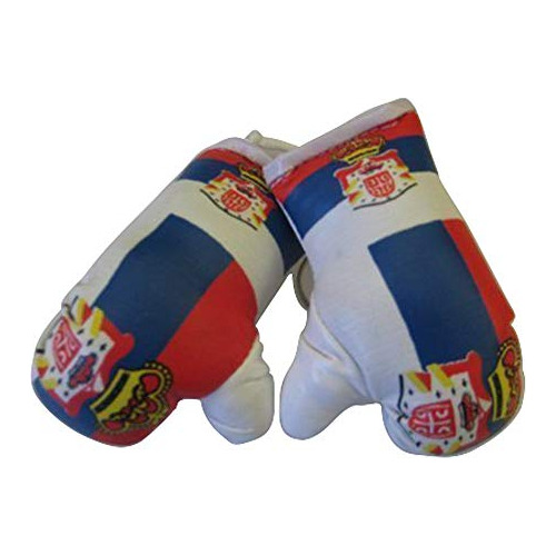 Guantes De Boxeo Mini Para Colgar En El Espejo Del Auto - Am