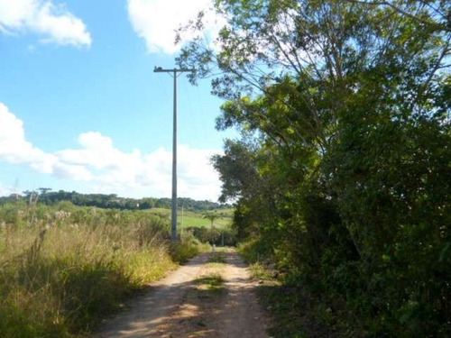 Imagem 12 de 13 de Chácara Em São José Dos Pinhais - 0828 - 3399849