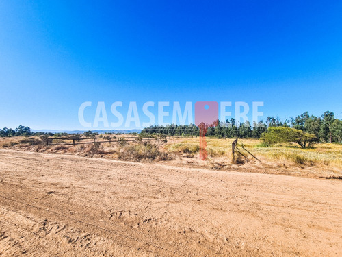 Nuevo Proyecto En Las Gaviotas. Precios Desde Uf 995!