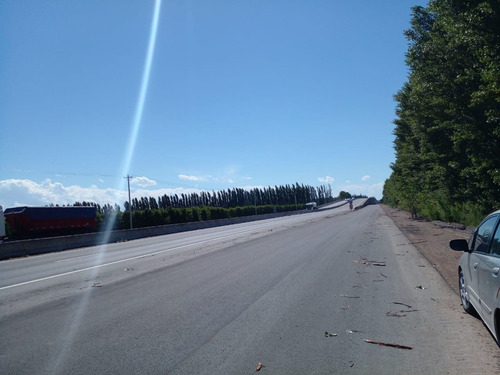 Imagen 3 de 6 de Venta De Chacra Con Frente De Ruta 22