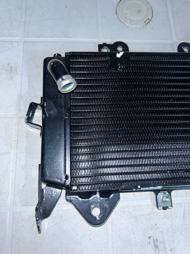 Radiador De Agua Pulsar Ns 200 2022 (Usado)