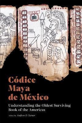 Libro Codice Maya De Mexico : Understanding The Oldest Su...