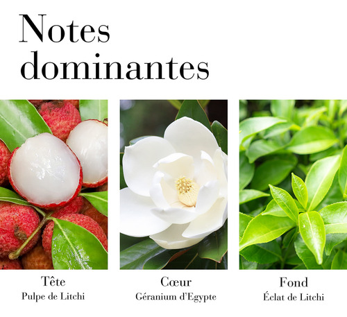 Perfume Elizabeth Arden Chá Verde Lychee Lime Edt 100ml