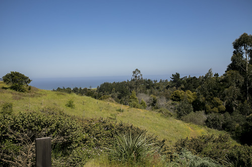 Reserva Natural En Punta De Lobos